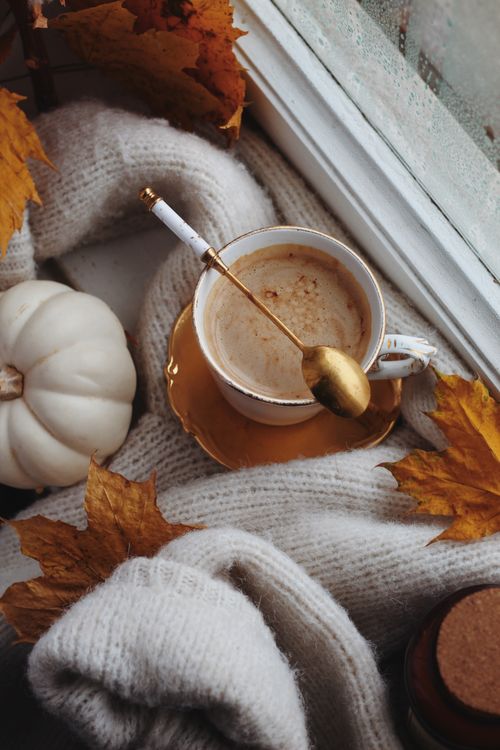 Free Warm autumn coffee setting featuring a cup, pumpkin, and fall leaves by a window. Stock Photo