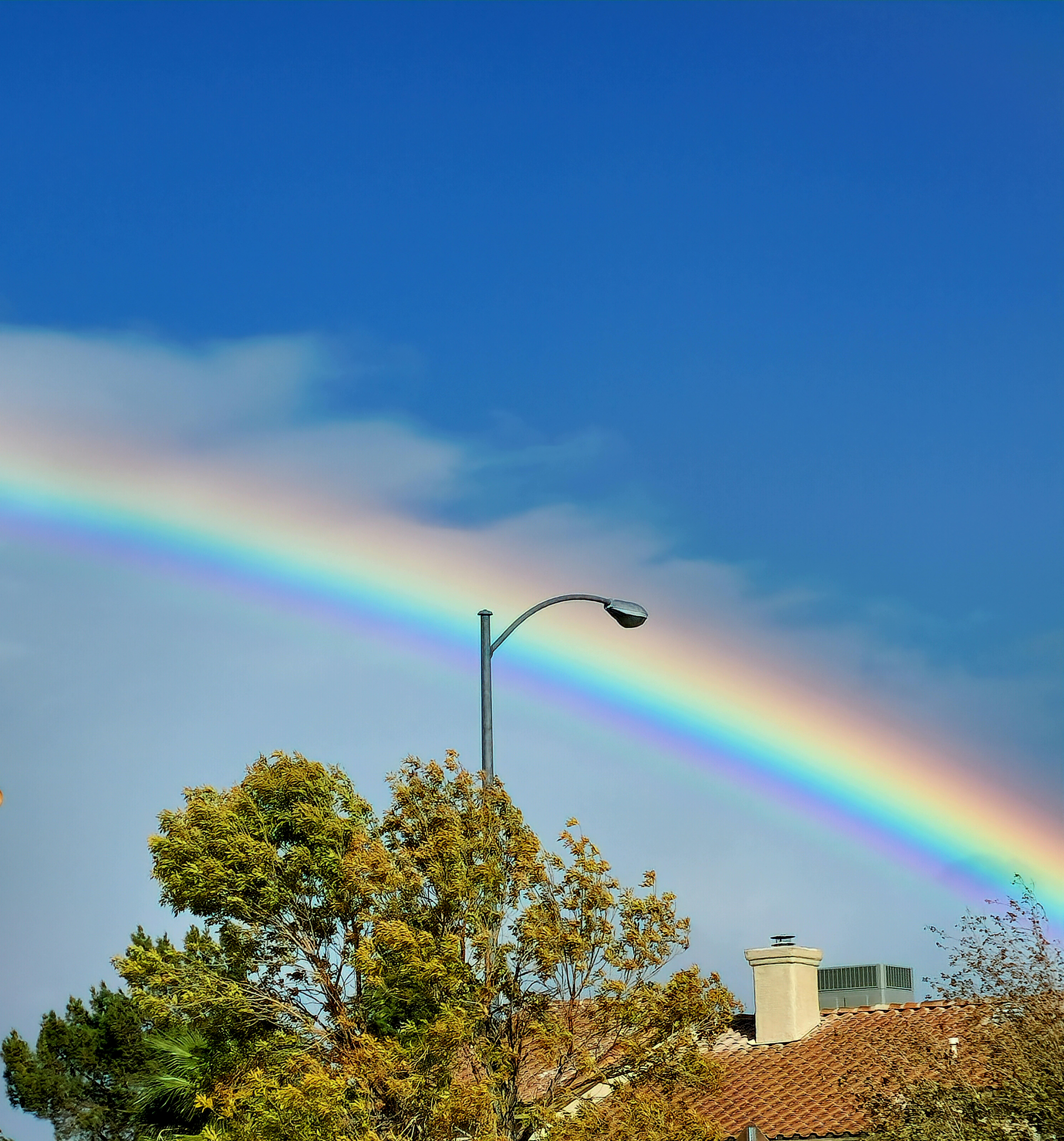How far can a roof span without support?