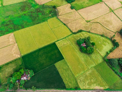 俯視圖, 农业领域, 天性 的 免费素材图片