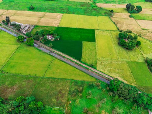 Green, Rural Fields with Canal