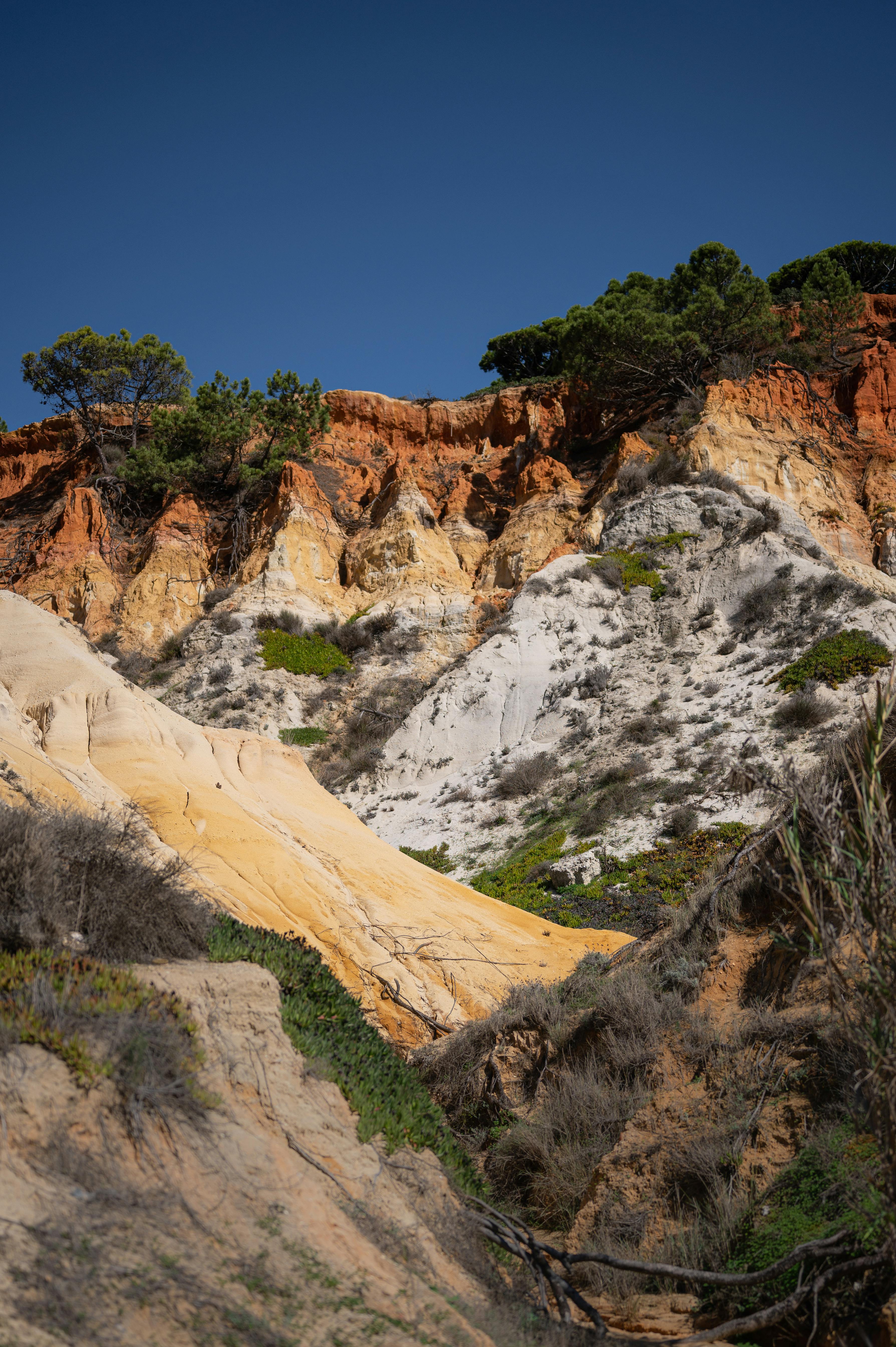 Stunning eroded cliffs with vibrant colors in Albufeira, Portugal on a clear day.