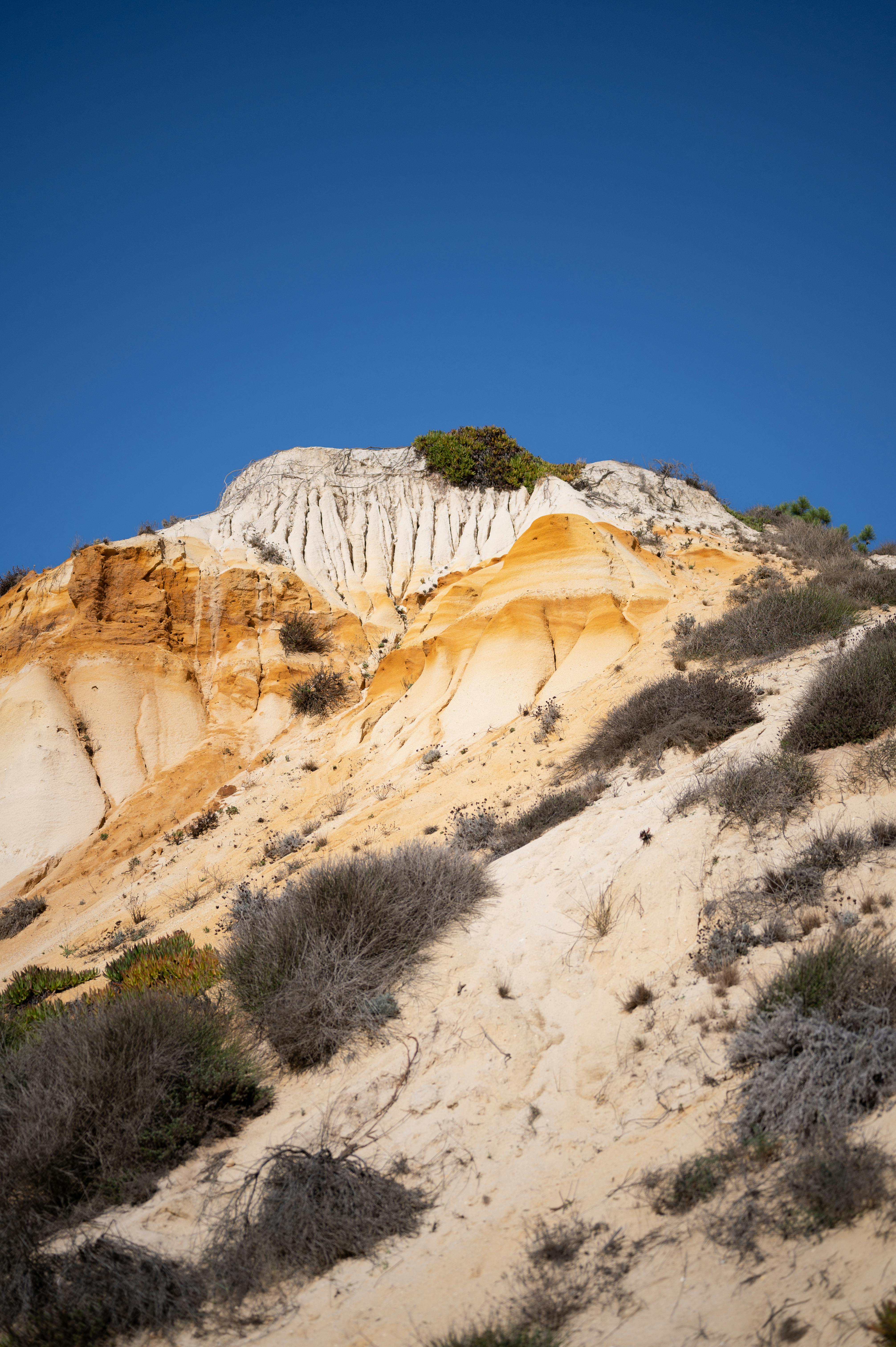 Capture of rugged sandstone cliffs under a clear blue sky in Albufeira, Portugal. Vibrant and natural beauty.
