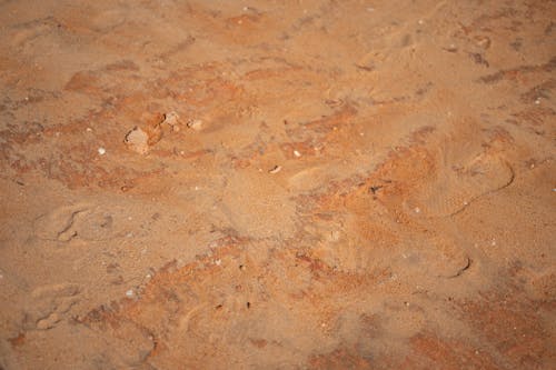 土, 棕色, 沙海灘 的 免費圖庫相片