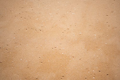 Бесплатное стоковое фото с берег, гладкий, коричневый