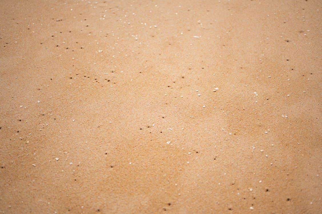 Seashells on the Beach