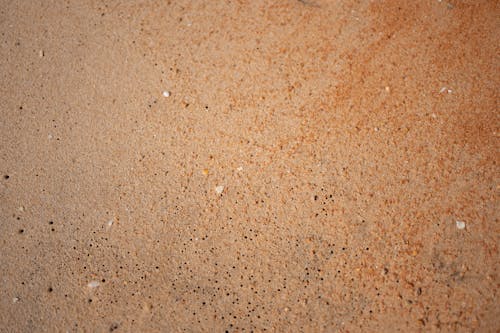 Gratis arkivbilde med brun, nærbilde, sand