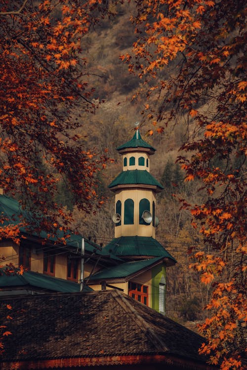 Fotobanka s bezplatnými fotkami na tému hory, jeseň, katedrála