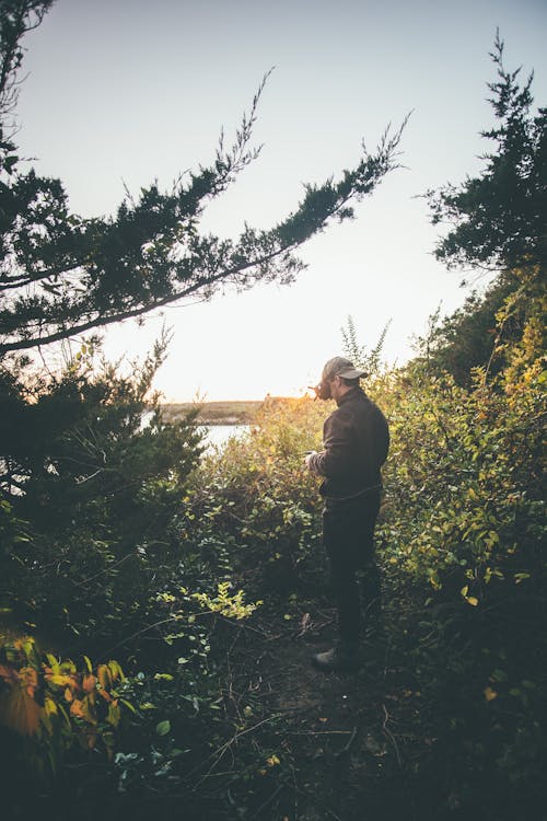 Man Standing in Virtual Reality Goggles among Bushes at Sunset