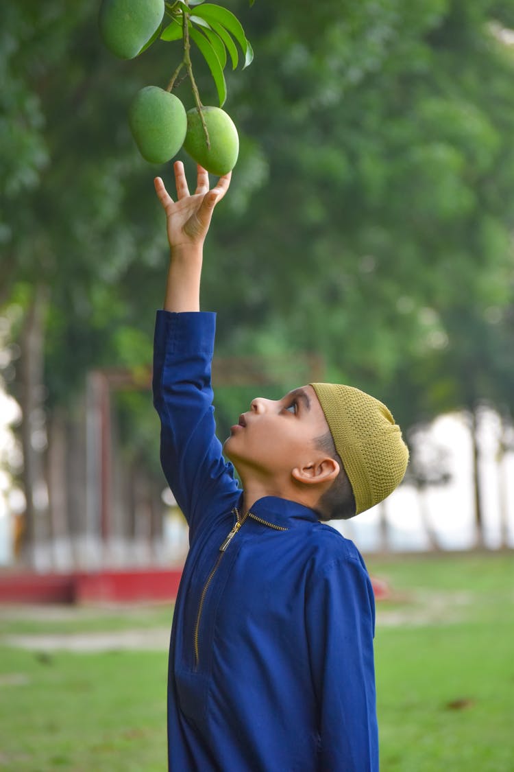 Boy Picking A Fruit