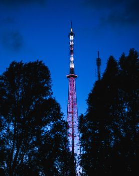 A beautifully illuminated tower at night framed by silhouetted trees against a dark blue sky.