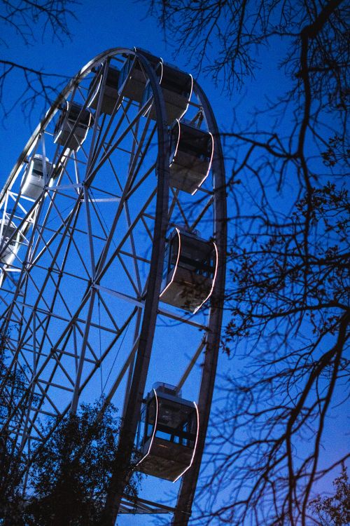 Free A luminous Ferris wheel at night surrounded by silhouetted tree branches. Stock Photo
