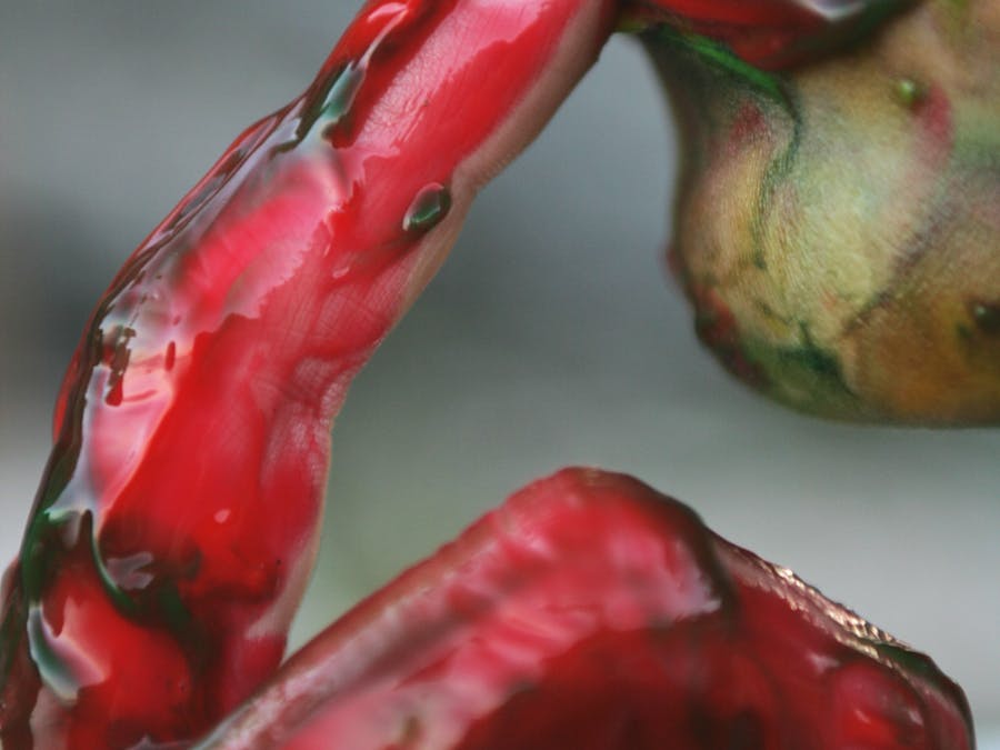 What opens blood vessels?