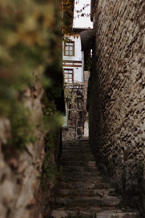 Steps in a Narrow Alley 