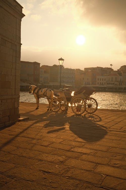 A Horse with a Carriage Near the Water