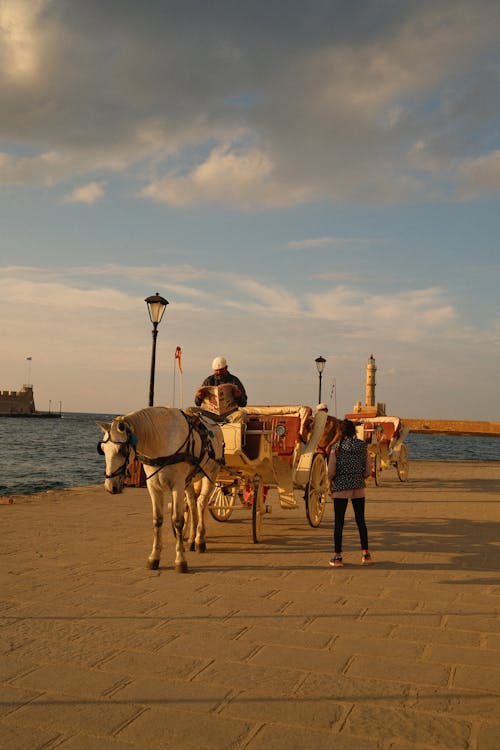 Free Horse Cart on Promenade Stock Photo