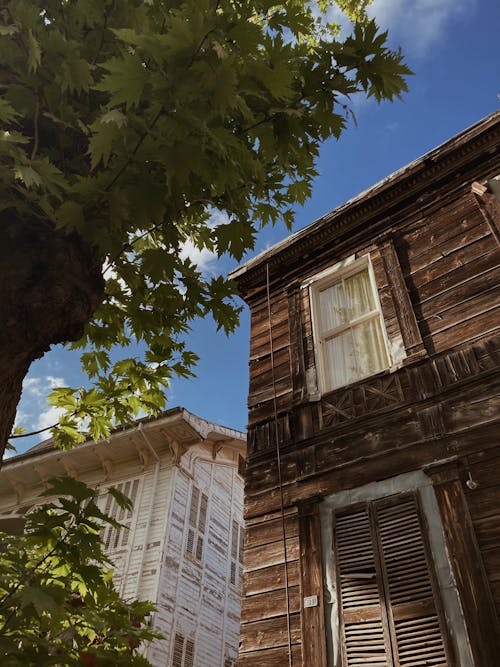 Photo of Two Decying Wooden Houses