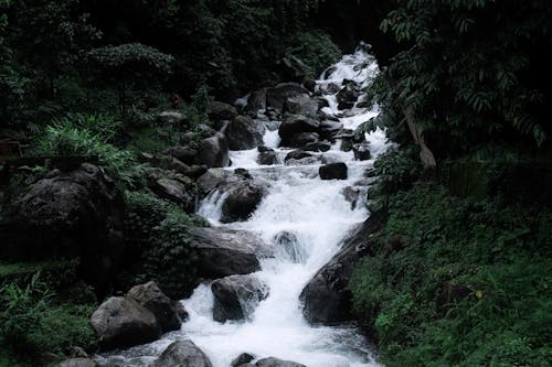 Cascade in Mountains