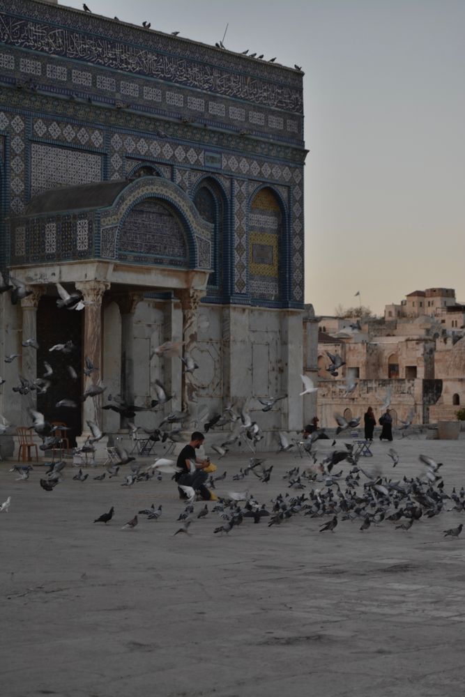 Quds Photos, Download The BEST Free Quds Stock Photos & HD Images