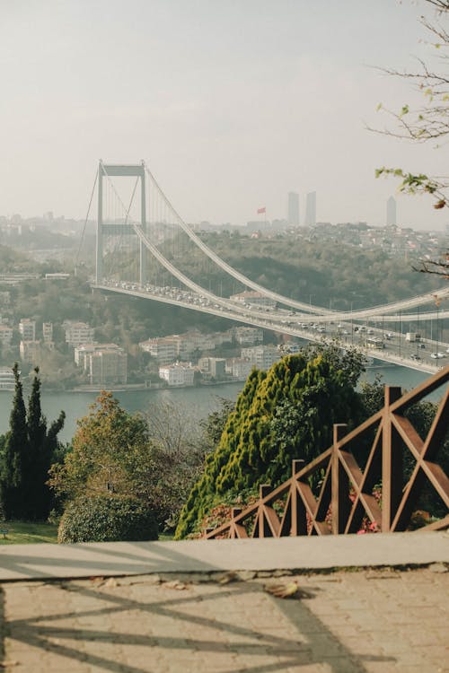 Imagine de stoc gratuită din beykoz, curcan, fotografiere verticală