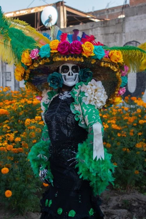 Free Person in a colorful and elaborate Day of the Dead costume amidst marigolds. Stock Photo