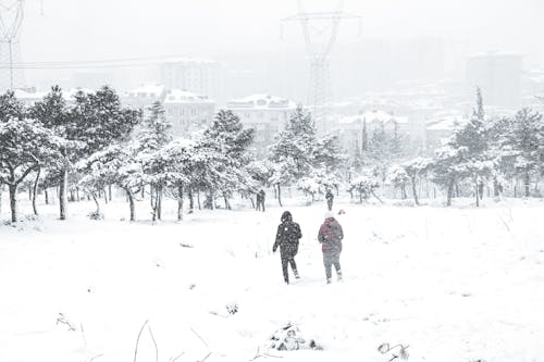 People on a Snow Covered Ground