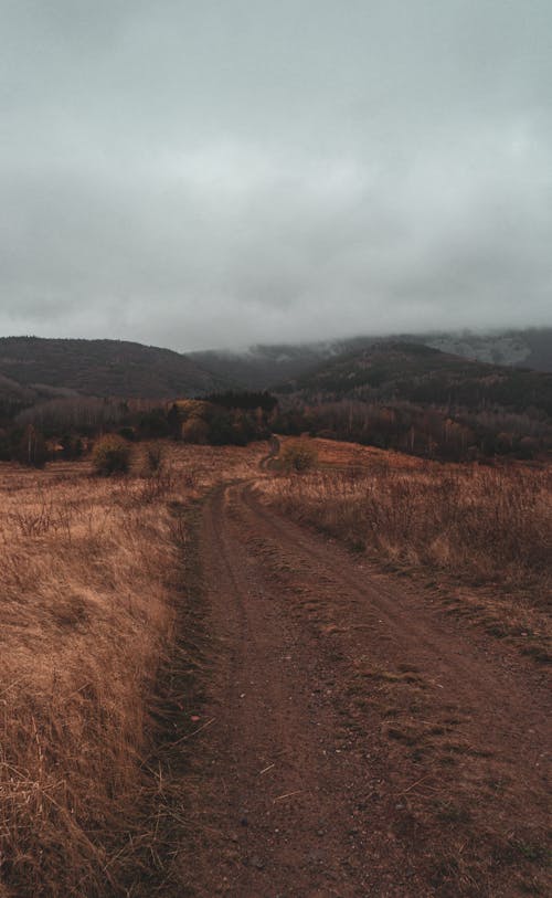 Path in Field in Mountains Landscape