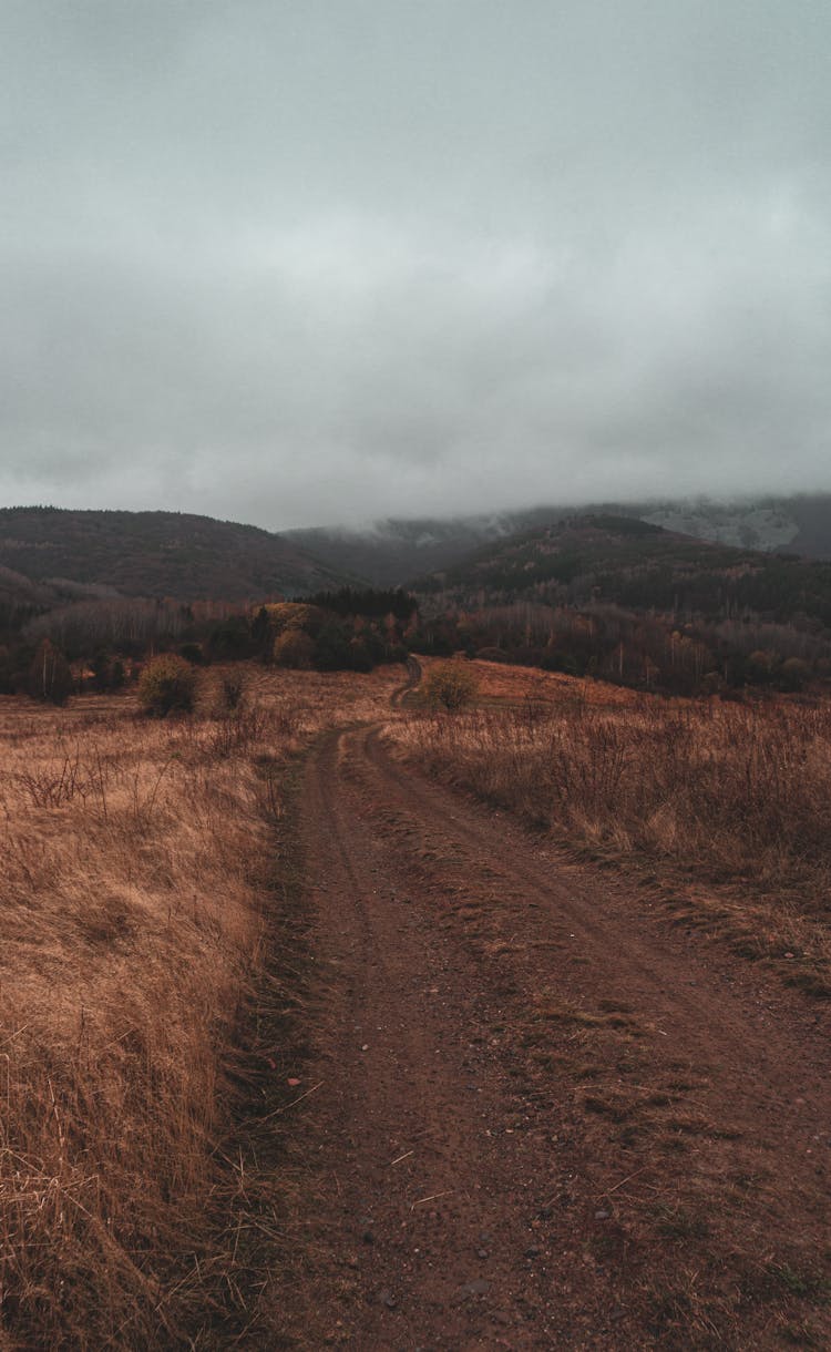 Path In Field In Mountains Landscape