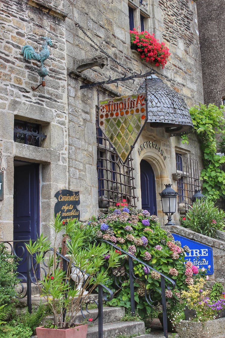 Flowers Growing Outdoors Old Stone Gothic Building