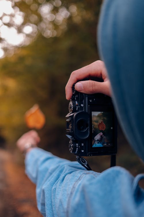 Man Photographing His Hand Holding an Autumnal Leaf 