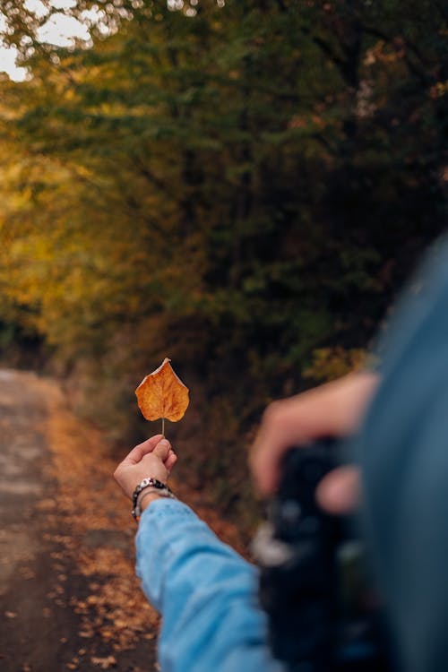Man Photographing His Hand Holding an Autumnal Leaf 