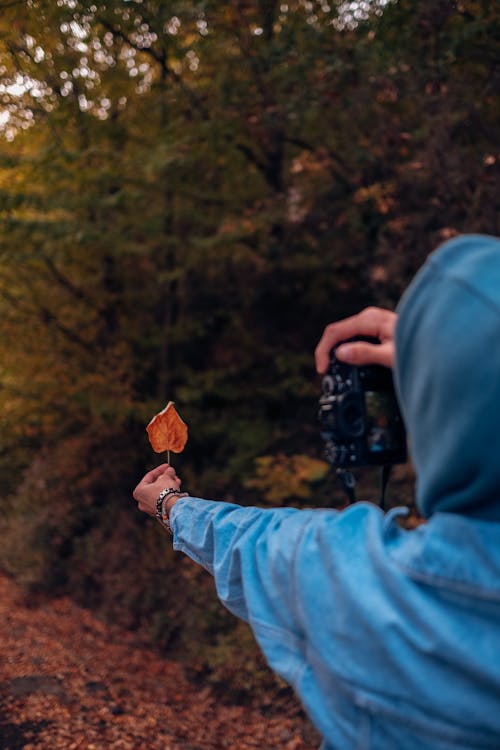 Man Photographing His Hand Holding an Autumnal Leaf 