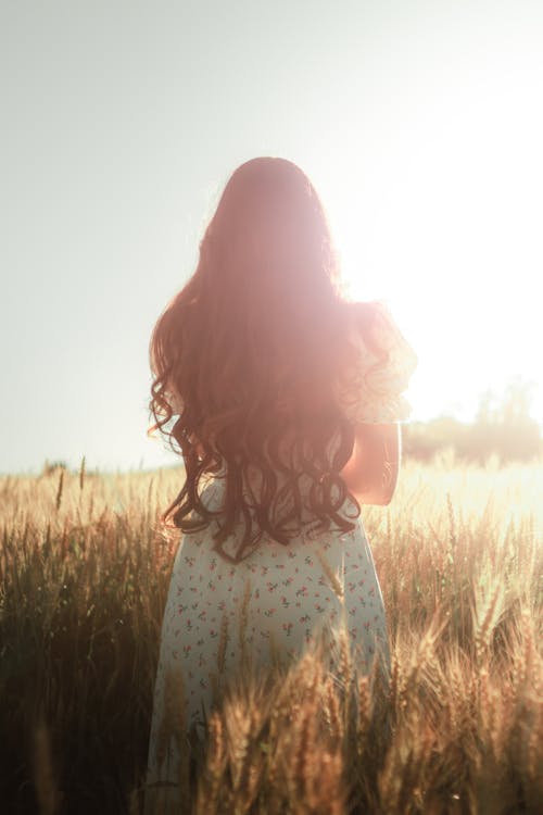 A Woman Standing in a Wheat Field in Sunlight