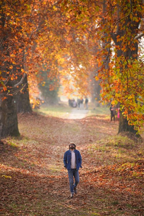 Free A man strolls down a leaf-covered path amidst vibrant autumn trees. Stock Photo