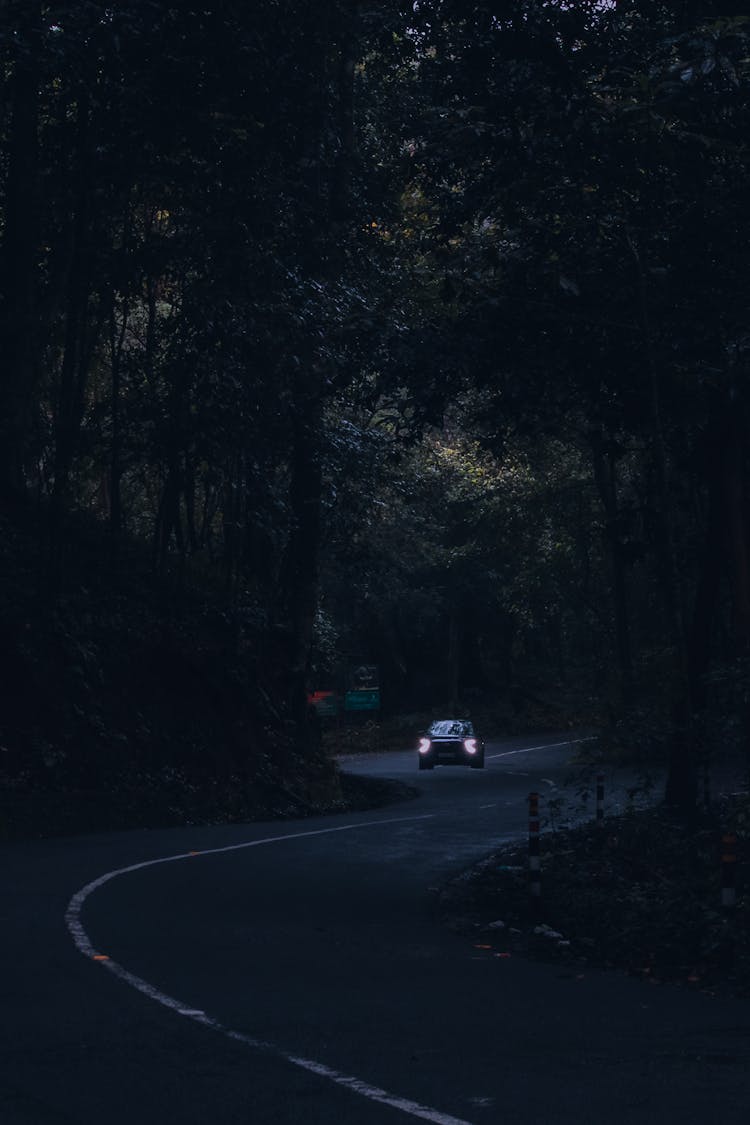 Car Driving On A Road Between Trees