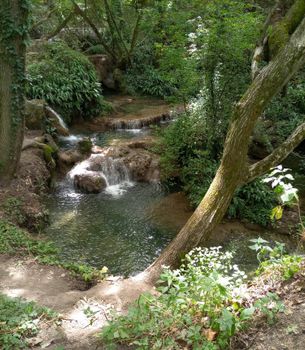 Serene forest stream flowing through lush greenery in Hristo Danovo, Bulgaria.