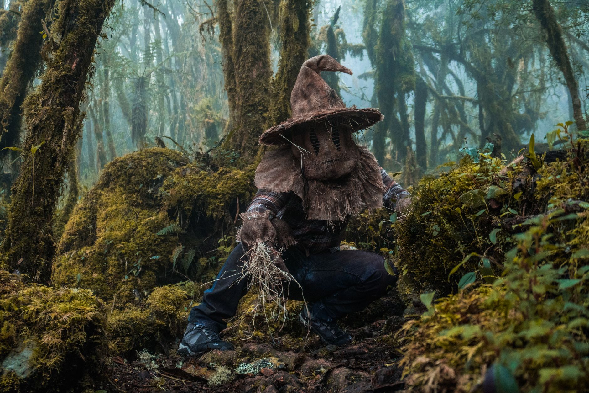A mysterious figure in a witch hat squats in a mossy forest, evoking fear and intrigue.