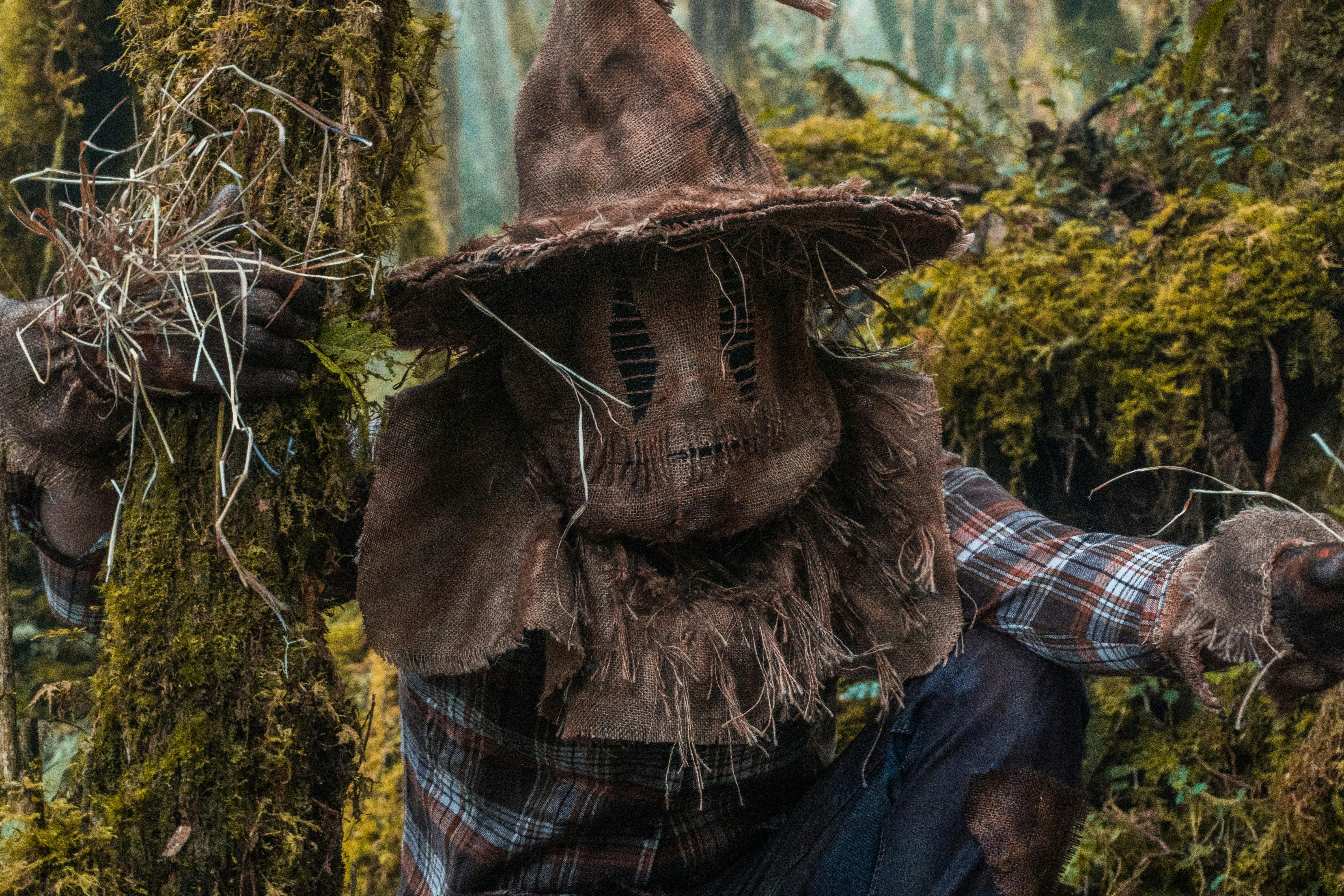 15 Pop Culture Facts About 'Wicked: For Good' and Other Movie Musicals — Photo by Juan Felipe Ramírez on Pexels