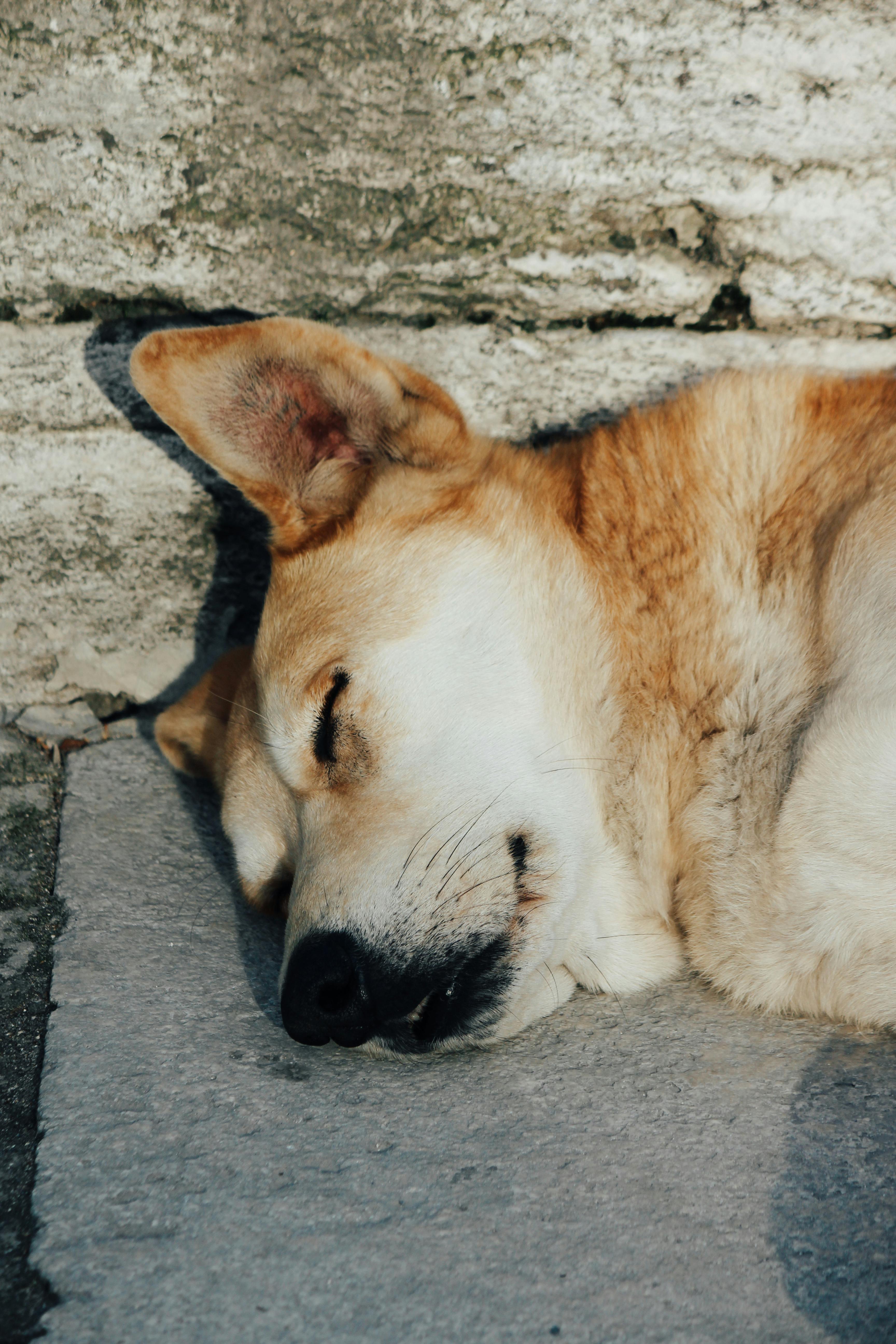 Photo by Zeynep Şahin