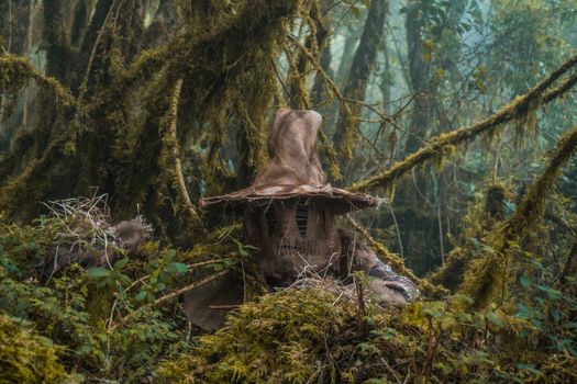 Terror en el bosque