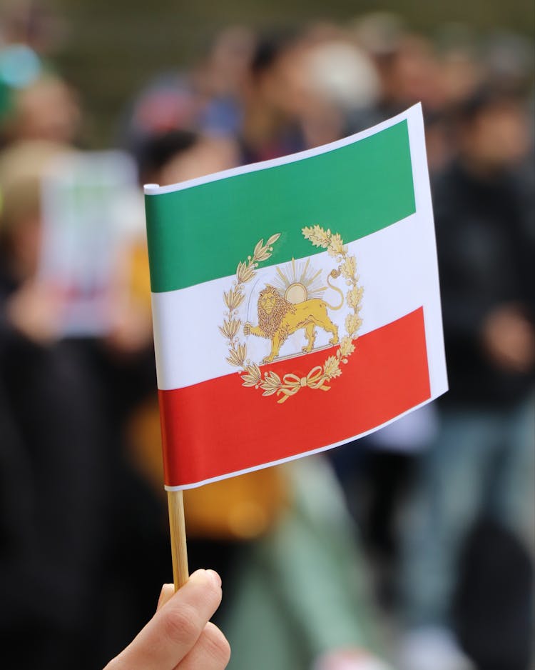 Flag Of Iran With Lion Symbol