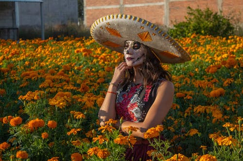 Imagine de stoc gratuită din câmp de flori, catrina, dia de muertos