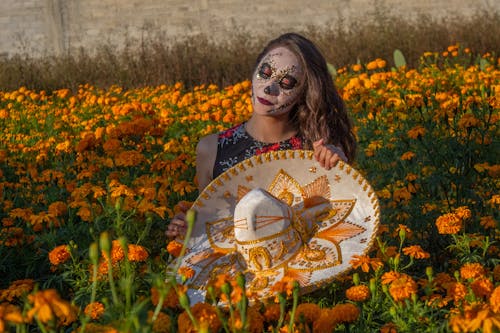 Imagine de stoc gratuită din câmp de flori, catrina, dia de muertos