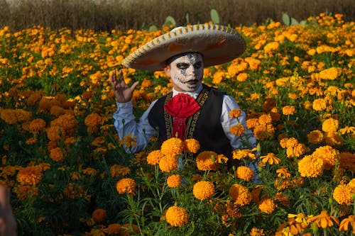 Imagine de stoc gratuită din câmp de flori, catrina, dia de muertos