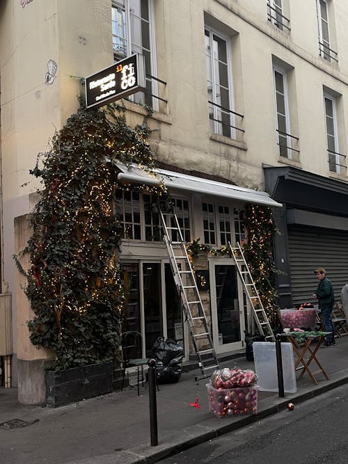 Clinging Plant and Christmas Decorations on Facade of Building