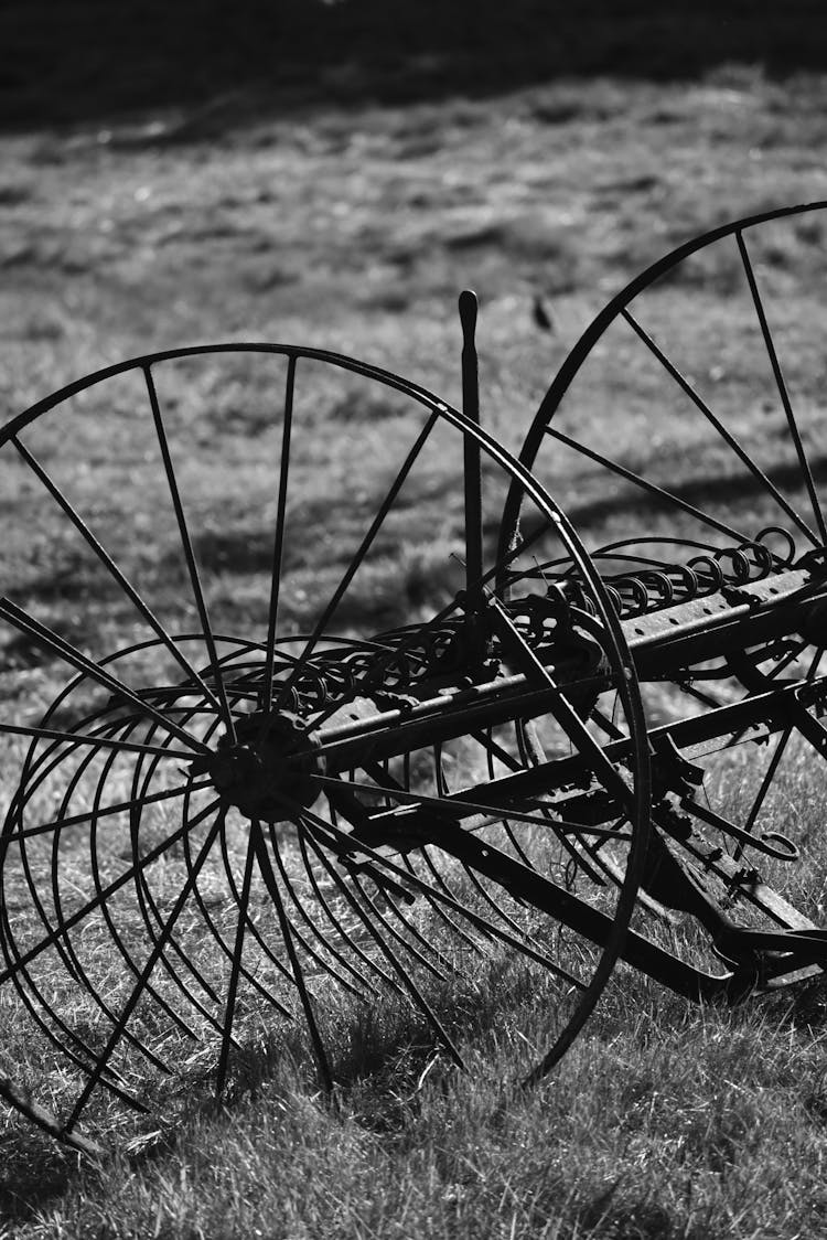 An Antique Hay Rake