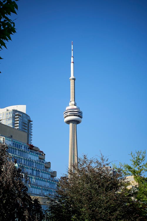 Free The CN Tower under a Clear Blue Sky Stock Photo