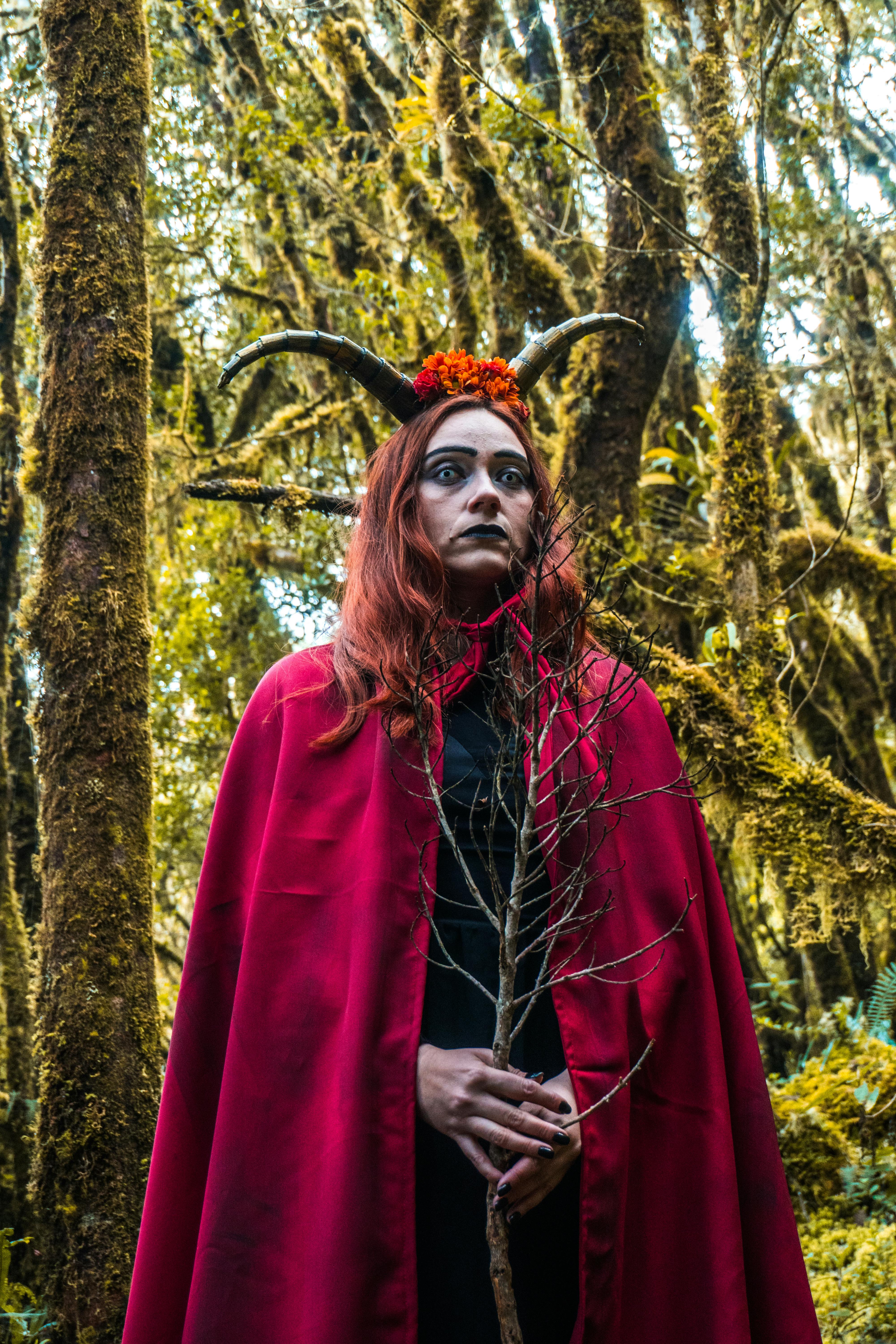 grátis Foto profissional grátis de América do Sul, ao ar livre, arborizado Foto profissional