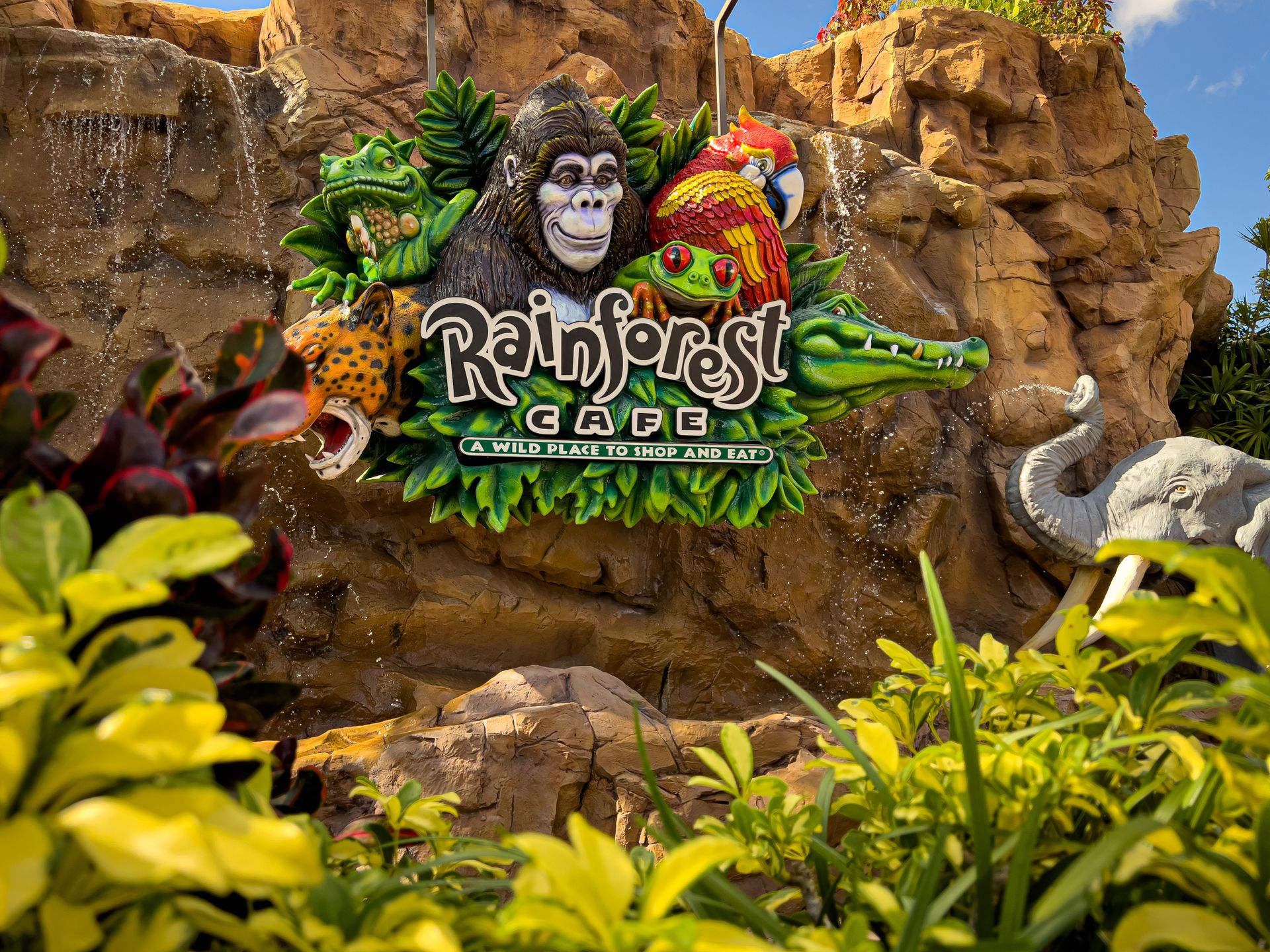 Business Signage of the Rainforest Cafe in Disneyland