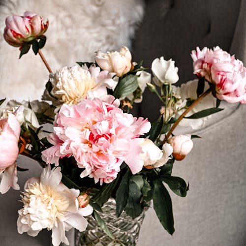 Free Photograph of Bouquet of Peonies Stock Photo
