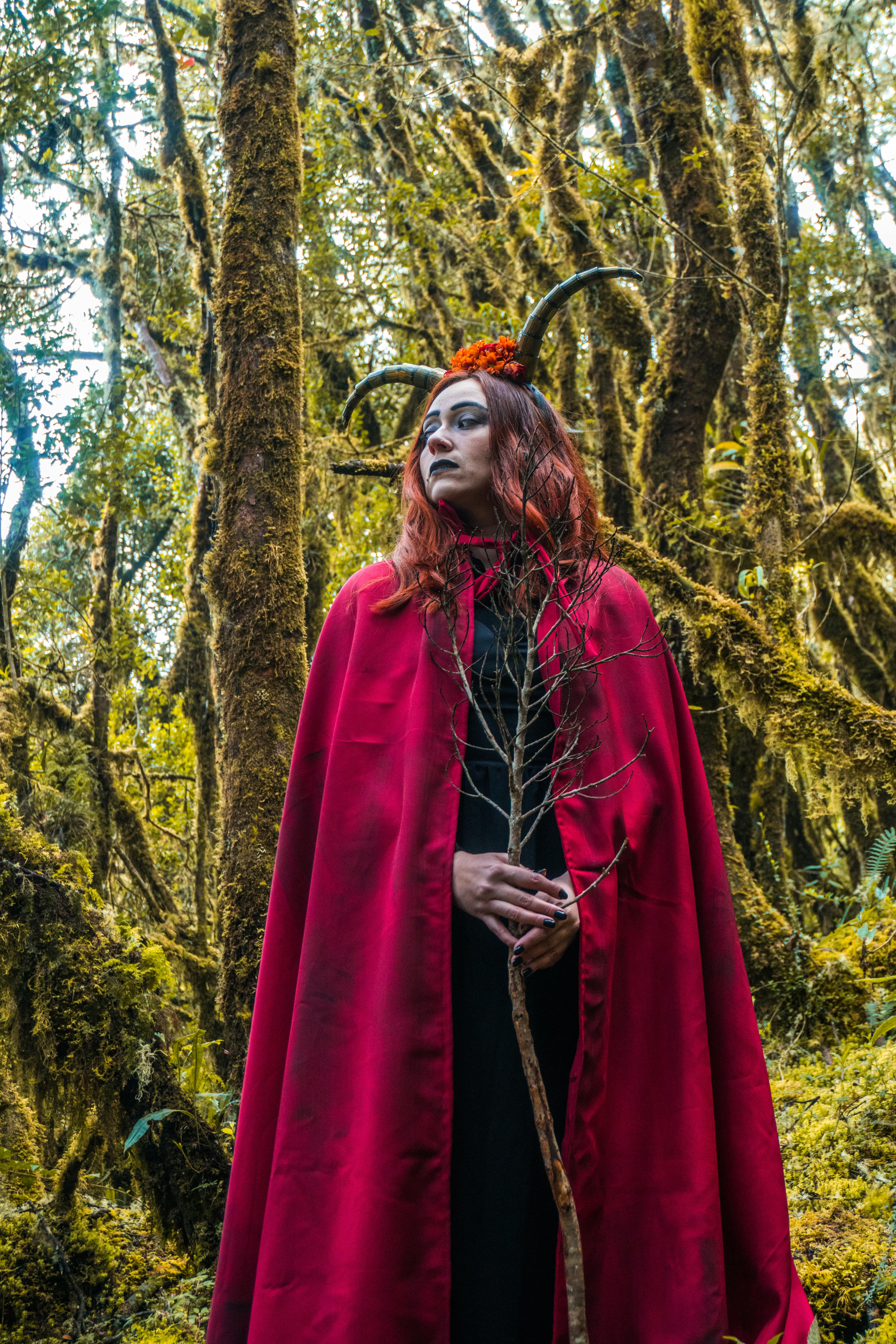 grátis Foto profissional grátis de América do Sul, ancião, árvores Foto profissional